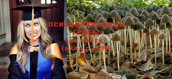 прущая мука Майский