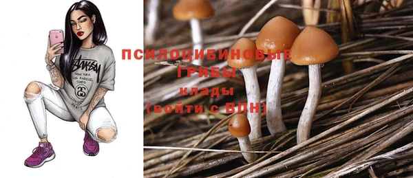 ПСИЛОЦИБИНОВЫЕ ГРИБЫ Медвежьегорск