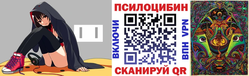 Купить закладки  Минусинск  Псилоцибиновые грибы мухоморы 